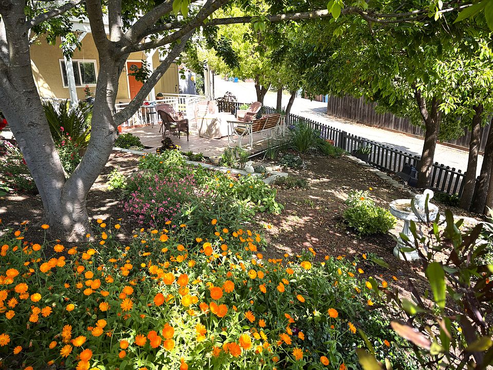 View of garden area in the front yard.