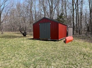 1617 Ellinger Rd, Alanson, MI 49706