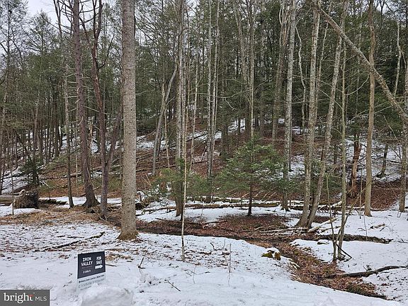 5th image of 0 Spriggle Hollow Rd