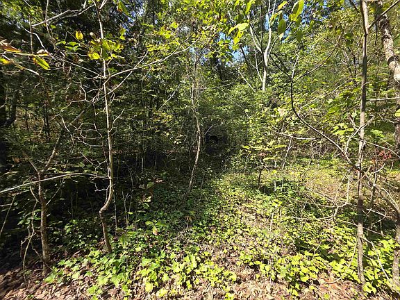 2nd image of L-10 N Summit Ridge Dr #B