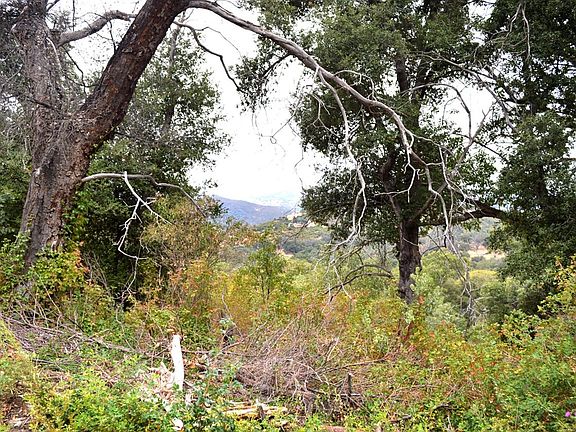 Close to property on Engineers Road looking north.