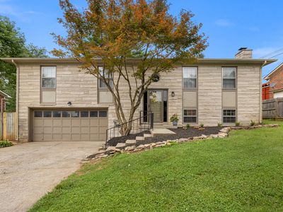 4168 Forsythe Dr, Lexington, KY, 40514