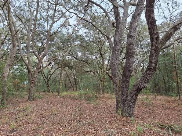 00 SE 73rd Pl, Morriston, FL 32668