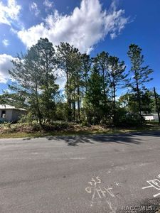 3125 W Fairbank Dr, Citrus Springs, FL, 34433