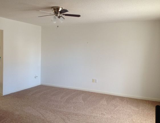 Spacious Living Room