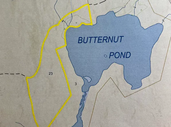 Butternut Pond Road, Grantham, NH 03753