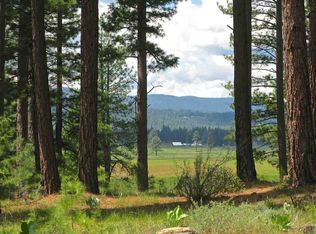 623 Redtail Loop Rd, Clio, CA 96106