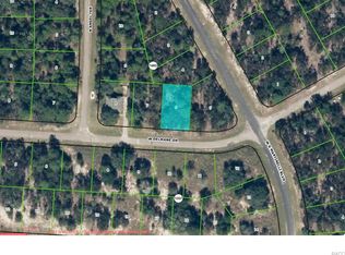 1777 W Delmane, Beverly Hills, FL 34465