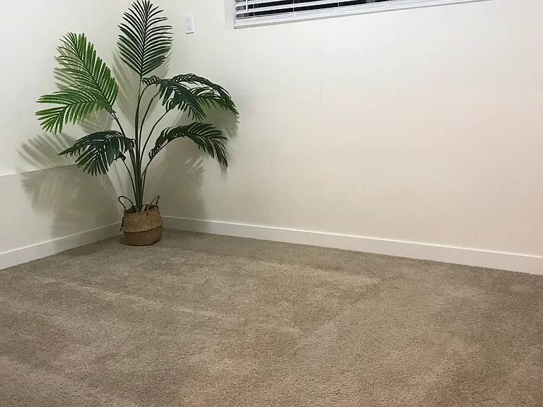3x1 BOTTOM FLOOR 2nd BEDROOM