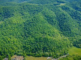 0 Fairview Rd, Duffield, VA 24244