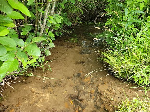 2nd image of 0 Rose Creek Trl