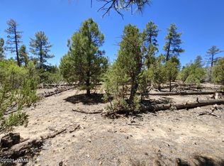 2759 N Morning Run, Overgaard, AZ 85933