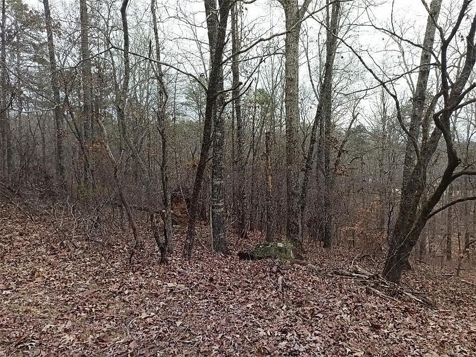 2nd image of 13 Olivia Ln