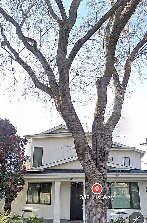 1st image of 339 Iris Way