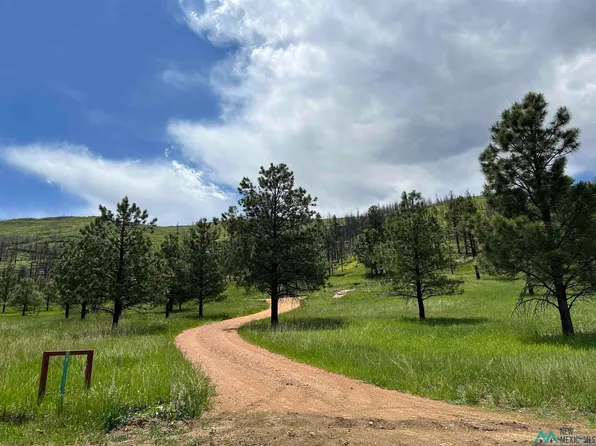18 Canuto Ct, Rociada, NM 87742