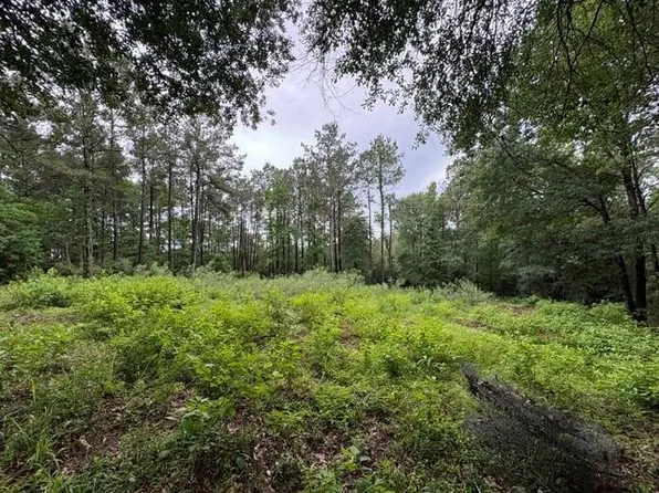 268 Cedar Valley Rd, Coldspring, TX 77331