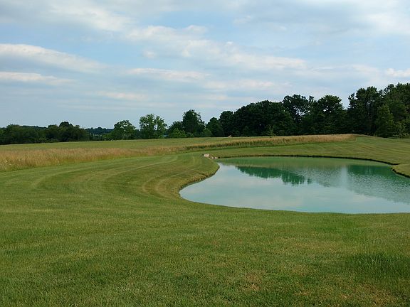 HOA owned/maintained pond
