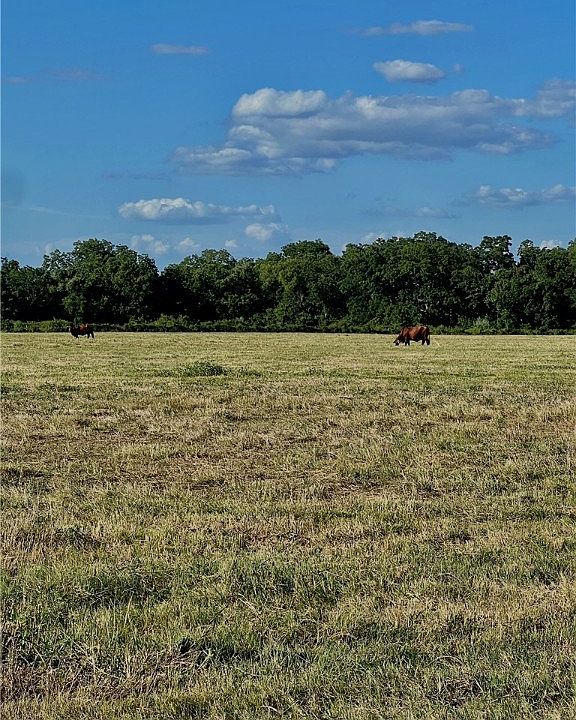 1st image of 0 County Road 240
