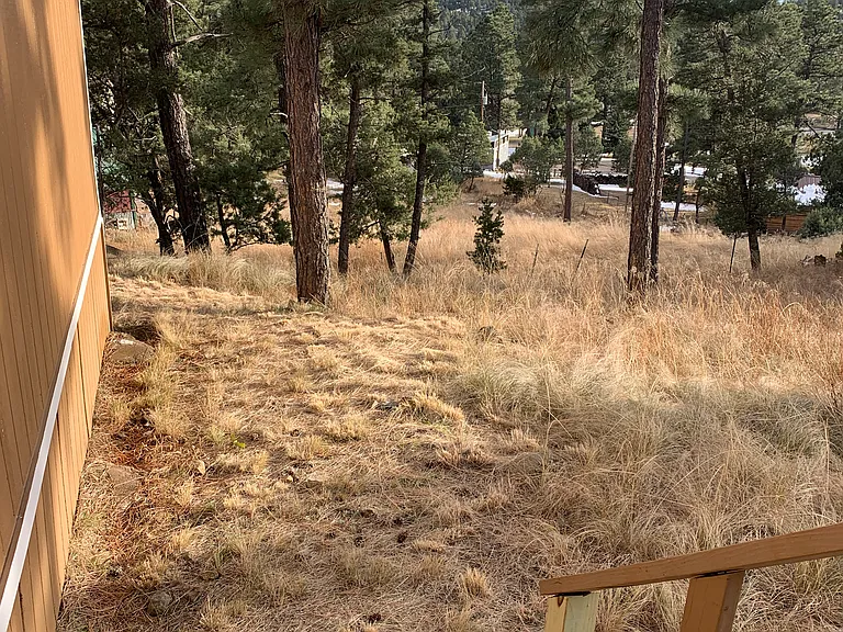 112 Pine Knot Trl — Photo 2
