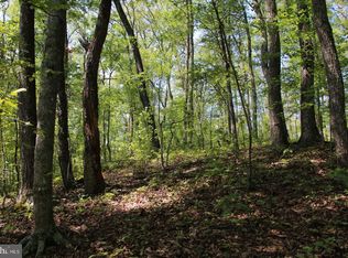 Jeans Meadow Ln, Gore, VA 22637