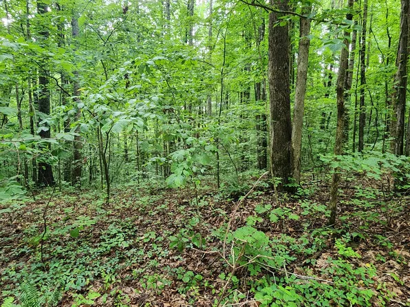 0 Poplar Pl Lot 52, Smithville, TN 37166