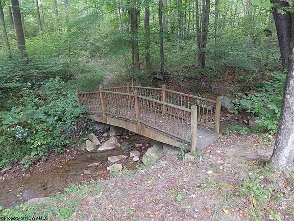 5th image of 384 Cougar Ln