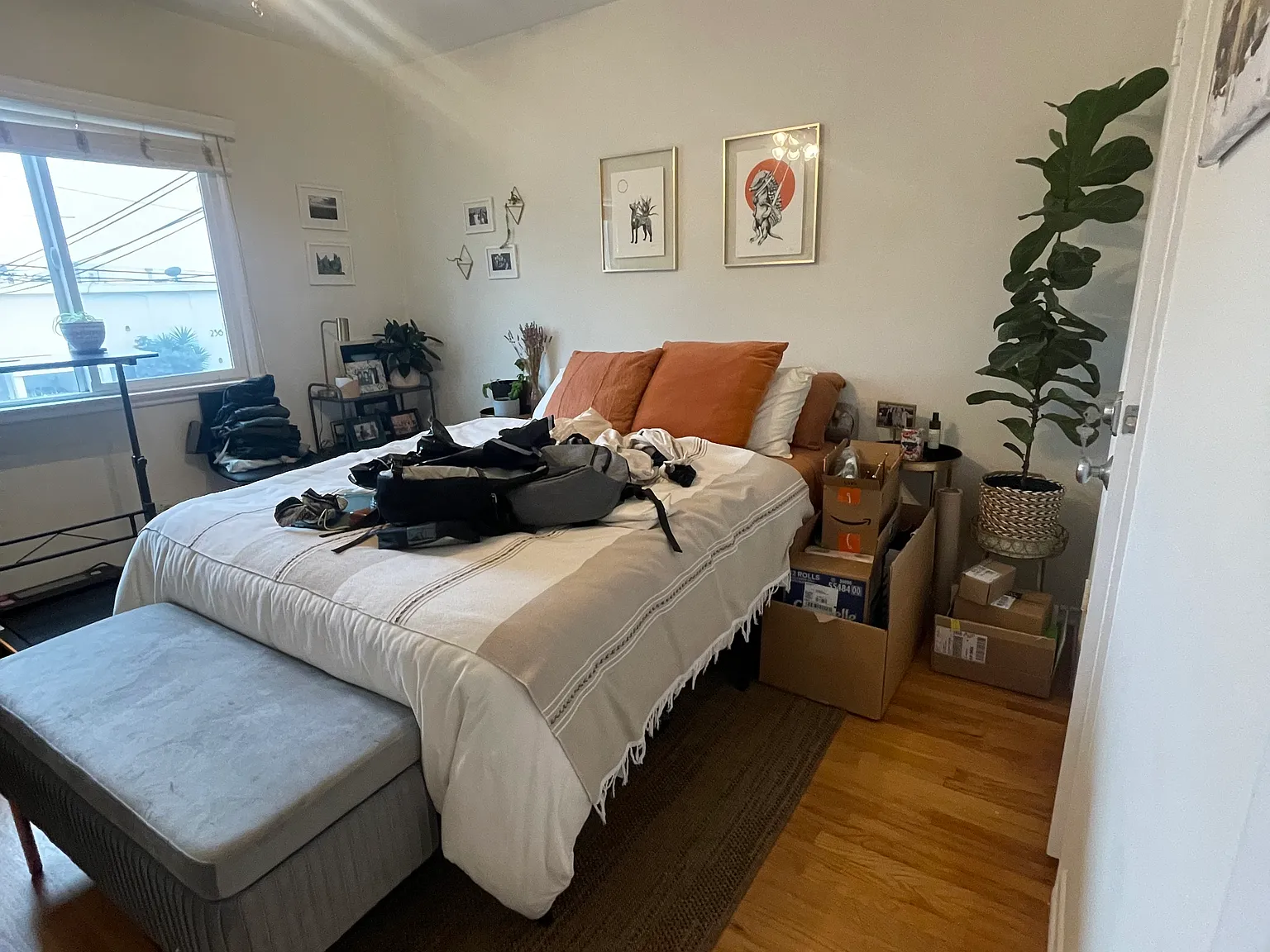 2 bed, 900 sqft, $3,650 — Photo 2