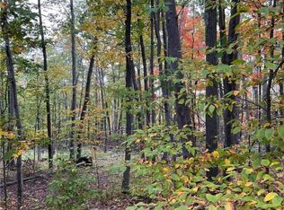 Steege Hill Rd, Corning, NY 14830