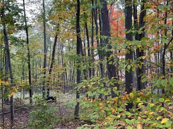 Steege Hill Rd, Corning, NY 14830