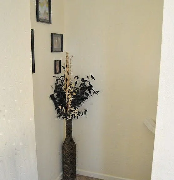 3509 Jasmine Cir — Photo 1