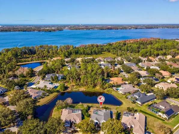 3718 Jacmel Way, Palm Harbor, FL 34685