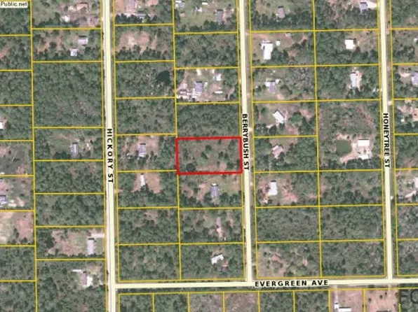 1760 Berrybush St, Bunnell, FL 32110