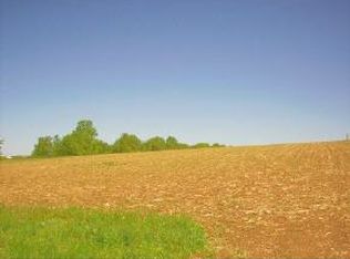 Dorn Rd, New Holstein, WI 53061