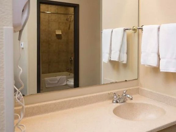 4th image of 1400 Great Wolf Dr #3316