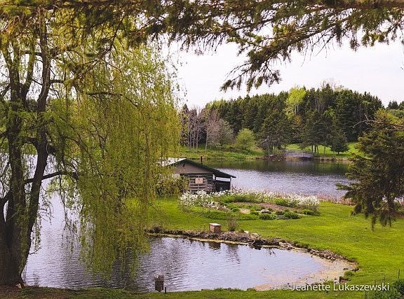 View of lake, pavilion and bridge from house deck