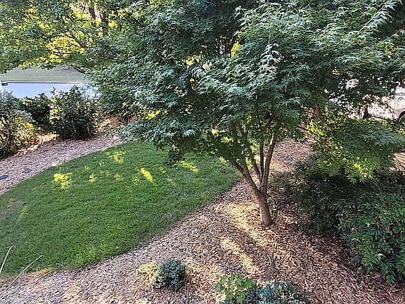 Front Yard from Den window