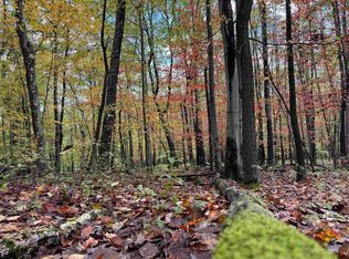 175 Aster Dr, Terra Alta, WV 26764