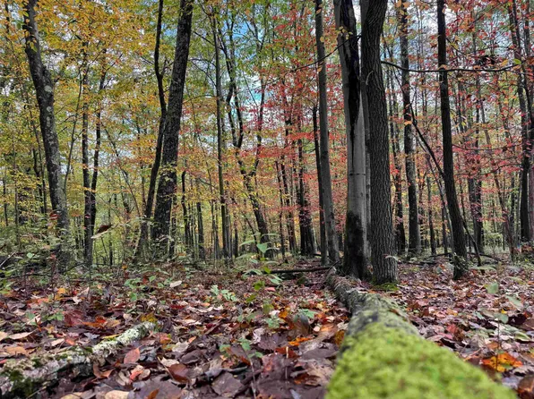 175 Aster Dr, Terra Alta, WV 26764