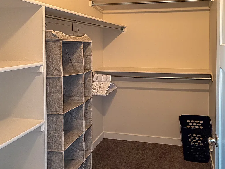 Primary Bedroom Walk-in Closet