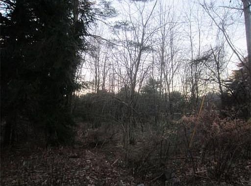 2nd image of 8 Gulf St