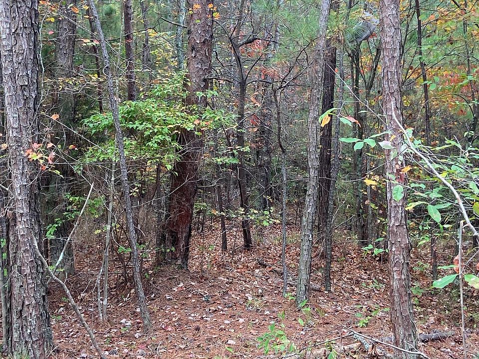 2nd image of 0 Willow Springs Rd Lot 0