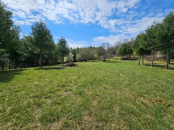 965 Stevens Creek Rd, Fries, VA 24330