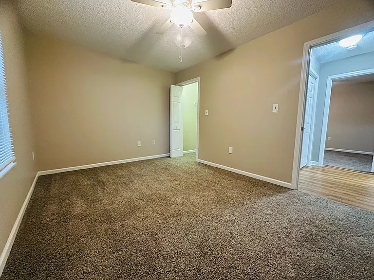 253 Dumplin Ln — Photo 9