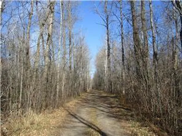 Boreal Rd, Meadowlands, MN 55765