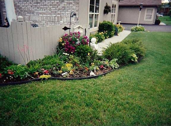 beautiful perennials