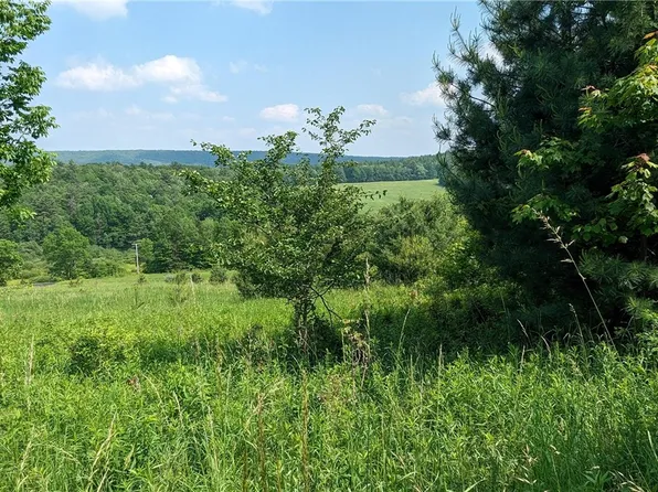 Hubbard Hill Rd #6, Maryland, NY 12116