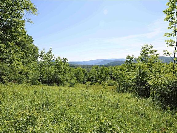 2nd image of 1259 Perch Lake Rd