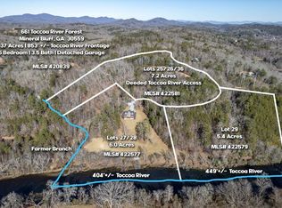 LOT 29 Toccoa River Frst, Mineral Bluff, GA 30559