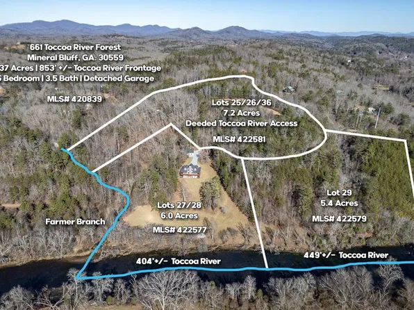 25 Toccoa River Frst, Mineral Bluff, GA 30559