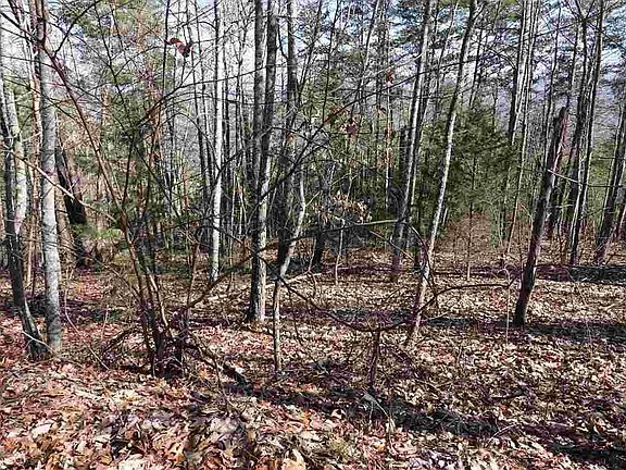 4th image of 81 & 82A Shell Mountain Rd Lot 81A